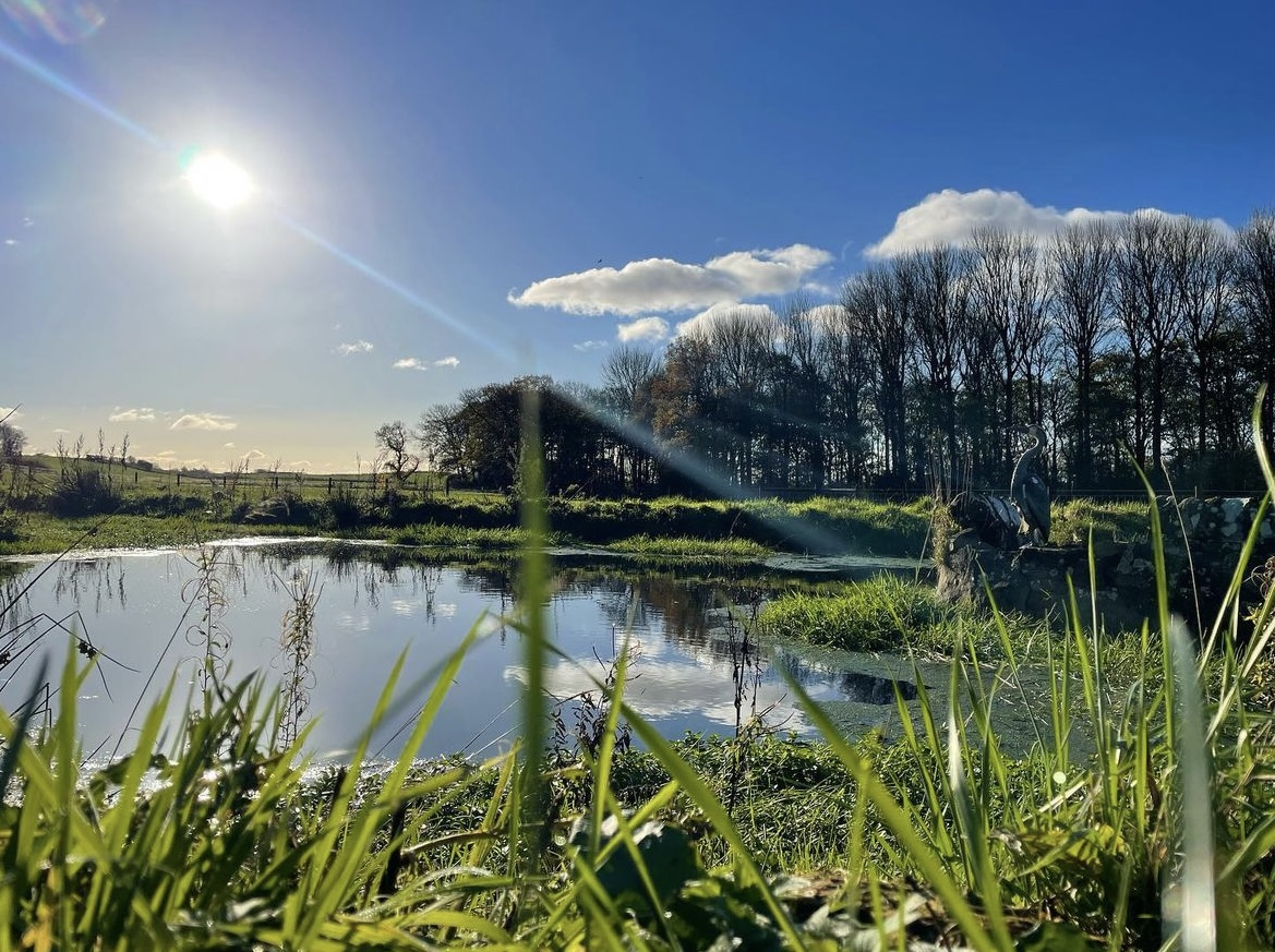 Peaceful heron lake with natural wildlife habitat at Ashton Hall caravan park, surrounded by trees and countryside in Lancashire